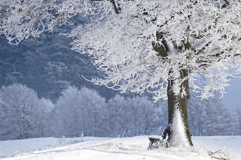 Mindful Walking in Nature
